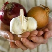 Ricinusolaj a papilloma (bőr jóindulatú daganatai) Ricinusolaj a papillomák