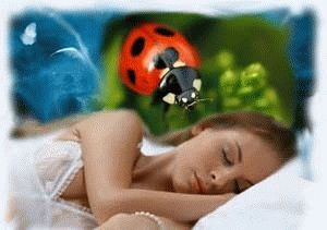 Miért álom egy katicabogár álom értelmezése (katica) Miért álom egy katicabogár álomértelmezés