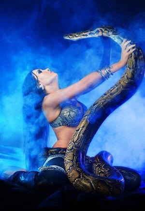 Miért álom egy kígyó nő
