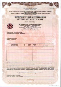 Kennel Club - lojalitás - a dokumentumok utazni egy kutya (utazás) Kennel Club - lojalitás - a dokumentumok utazni egy kutya