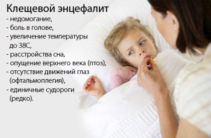 Kullancsencephalitis gyermekek - tünetek megelőzésére és kezelésére kullancsencephalitis gyermekeknél
