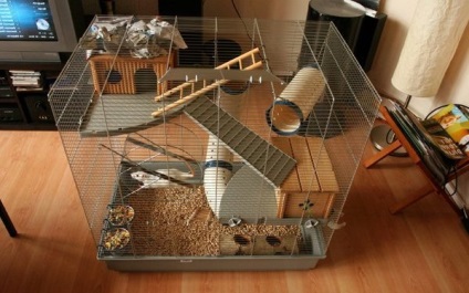 Cage degus kezét fotó, értékelés (a) Cage degus fotót a saját kezét, vélemények