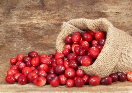 Cranberry vízhajtó tulajdonságai, vagy sem, gyümölcslé a terhesség alatt (a terhesség) Cranberry vízhajtó tulajdonságai, vagy sem, gyümölcslé a terhesség alatt