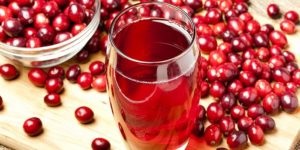 Cranberry vízhajtó tulajdonságai, vagy sem, gyümölcslé terhesség alatt (gyenge diuretikus) Cranberry vízhajtó tulajdonságai, vagy sem, gyümölcslé a terhesség alatt