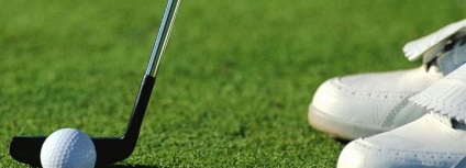 Golfütő, mind az úgynevezett golfütő - epreskert