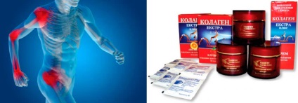 Kollagén ízületek és szalagok, termékek kollagént tartalmazó (ínszalagok) Kollagén ízületek és szalagok, tartalmazó termékek kollagén