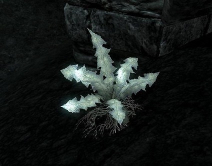 Nirnroot mi ez, és mit eszik (root) Nirnroot mi ez, és mit eszik