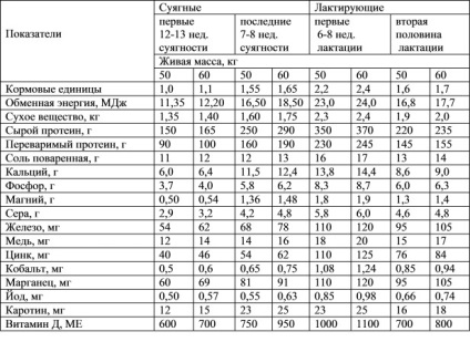 Etetés a juhok etetési anyajuhok