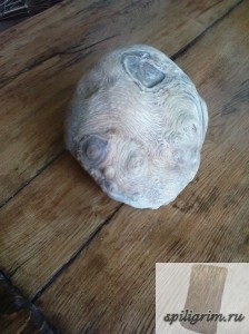 Korneplastika - oldalamon (korneplastika) Korneplastika - oldalamon