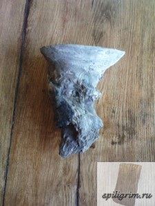 Korneplastika - oldalamon (korneplastika) Korneplastika - oldalamon