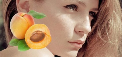 Kozmetikai alkalmazása sárgabarackmag olaj haj és az arc (make-up) Kozmetikai alkalmazása sárgabarackmag olaj haj és az arc