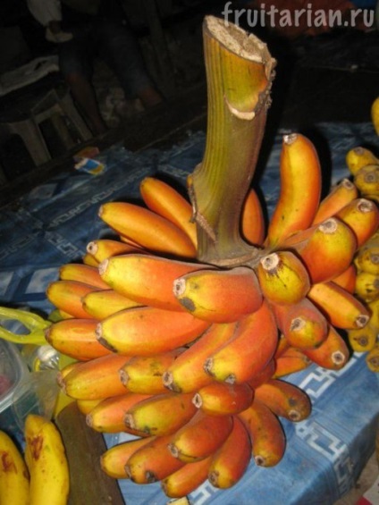 Vörös banán morado