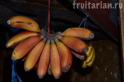 Vörös banán morado