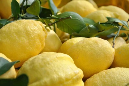 Limoncello likőr recept és a történet - valamit Olaszország