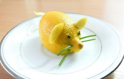 Lemon fogyás, hogyan lehet, receptek, tulajdonságok, ellenjavallatok (take) Lemon fogyás, hogyan lehet, receptek, tulajdonságok, ellenjavallatok