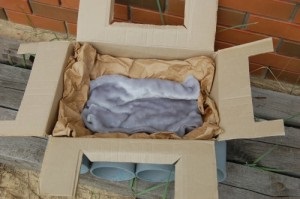 Mesterkurzus tartály egy macskát egy kartondobozban (fotók!) - kototeka - a legérdekesebb dolog a világon a macskák