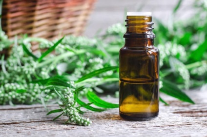 Artemisia Herb használatát és előkészítés (infúzió) Artemisia Herb használatát és előkészítés