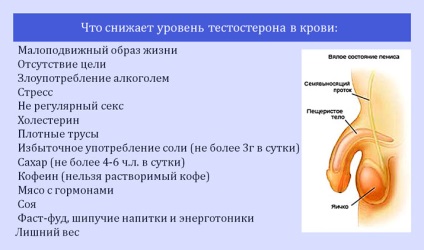 Alacsony tesztoszteronszint a férfiaknál