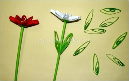 Háromdimenziós virágok a technika „Quilling” saját kezűleg
