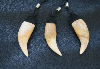 Charm cápa fogak, medve, stb (Amulet cápa foga) Charm cápa fogak, medve, stb