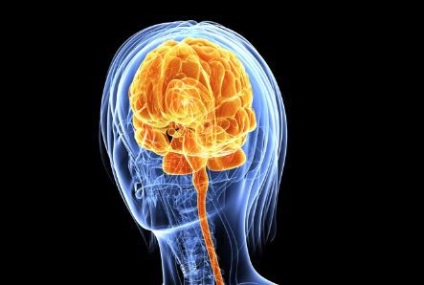Működés során agydaganat - az agydaganatok kezelésére