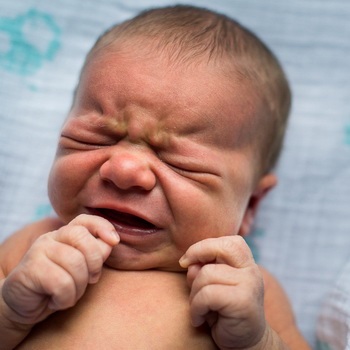 Jellemzők újszülött immunitás osztályozása immunhiányos csecsemők (immunhiányos) Jellemzők újszülött immunitás osztályozása immunhiányos csecsemők