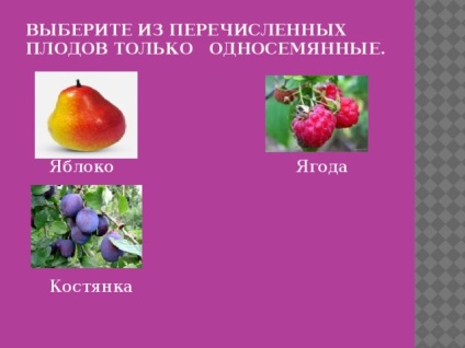 Gyümölcsök - biológia órák