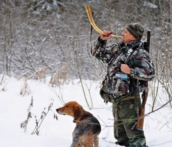 Felkészülés a vadászat