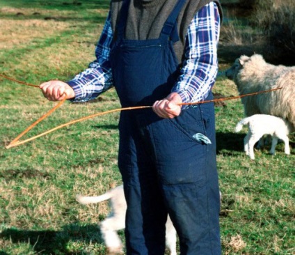 Keresés a vizet a keret vagy a szőlő (via) Keresés a vizet a keret vagy a szőlő
