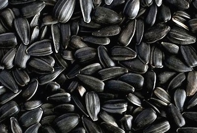 Előnyök és árt a pörkölt magok, azok összetételét és ellenjavallatok (sült) Előnyök és árt a pirított magvakkal, azok összetételét és ellenjavallatok
