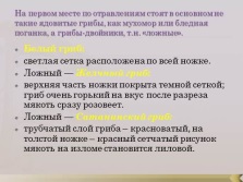 Előadás - gombák (gombák) Bemutatkozás - gombák