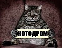 A példázat, amit a menny és a pokol, az egyik hölgy - női magazin (a) A példázat, amit a menny és a pokol, az egyik hölgy - női magazin