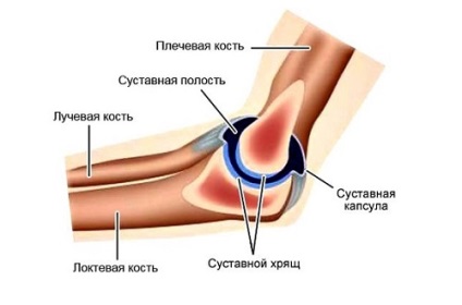 Lebonyolítása MRI a könyök