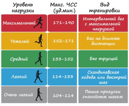 Pulse futás közben, hogyan kell kiszámítani a sebesség, a futás szabályok különböző célokra