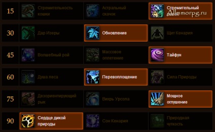 PvP útmutatók a feral druida 5 (feral) PVP útmutató a vaddisznók druida 5