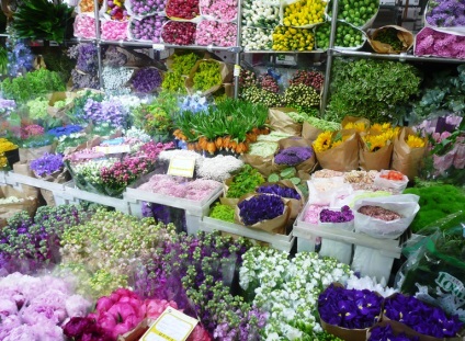 Riga virágpiac virágpiac idején a Riga, fotók, vélemények, Moszkva piacok