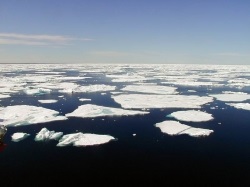 Найцікавіші факти про північному Льодовитому океані