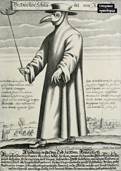 Szürke lény (a pestis megölt több mint) szürke lény