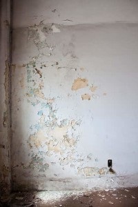 Ragasztása a meszelés tehetünk (módja eltávolítja a meszelés) Ragasztása a meszelés tehetünk