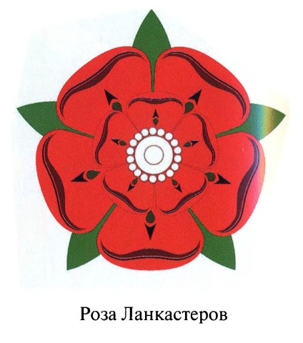 Anglia Symbol vörös rózsa (rózsa szimbóluma England) Anglia Symbol vörös rózsa
