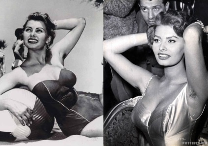 Sofi Loren elrejti facelift (Sofi Loren paraméterek) Sofi Loren elrejti facelift