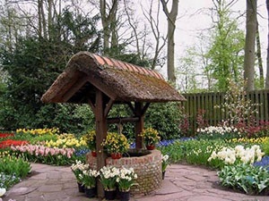 Cikkek holland kert megfizethető luxus