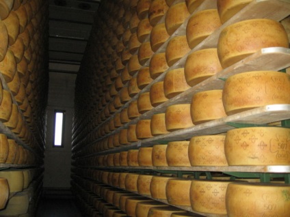 A legjobb útmutató, olasz sajt Grana Padano (Trentino) (grana) A legjobb útmutató, olasz sajt Grana Padano (Trentino)