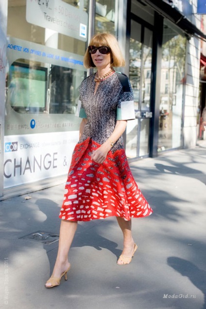 Street Fashion Style Anny Vintur (Anna Wintour) Street Fashion Style Anny Vintur