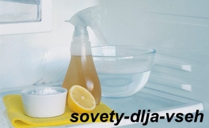 Gondozása egy hűtőszekrény, minden tanácsot (ellátás) Care hűtőszekrény, tanácsadás minden