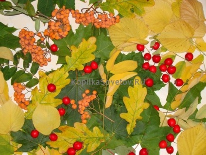 A koszorú őszi levelek és hegyi kőris kezük mesterkurzus fényképpel az Ön számára!