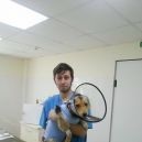 Állatorvosi állatorvos Akadémia