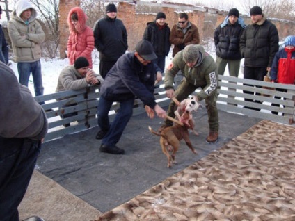 Magyarországon engedélyezett harci kutya - Vállalat