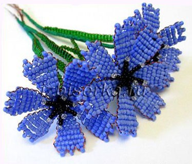 Mezei szulák gyöngy, vadvirágai gyöngyök (beads fehér fehér) Gyöngy szulák, vadvirágok gyöngyök