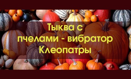 Miért, miért, és hogyan méhek a méz (méhek) Miért, miért, és hogyan méhek a méz